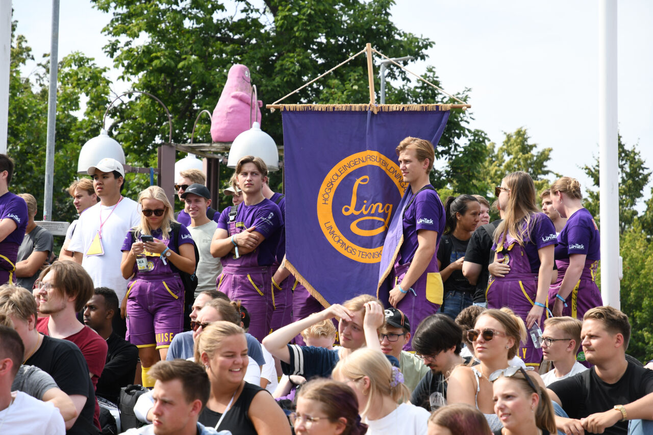 Picture of students during a lunch activity.