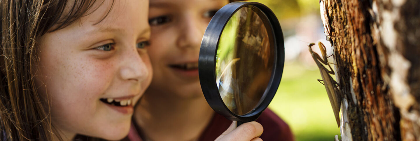 girls studying an insect through a magnifying glass.