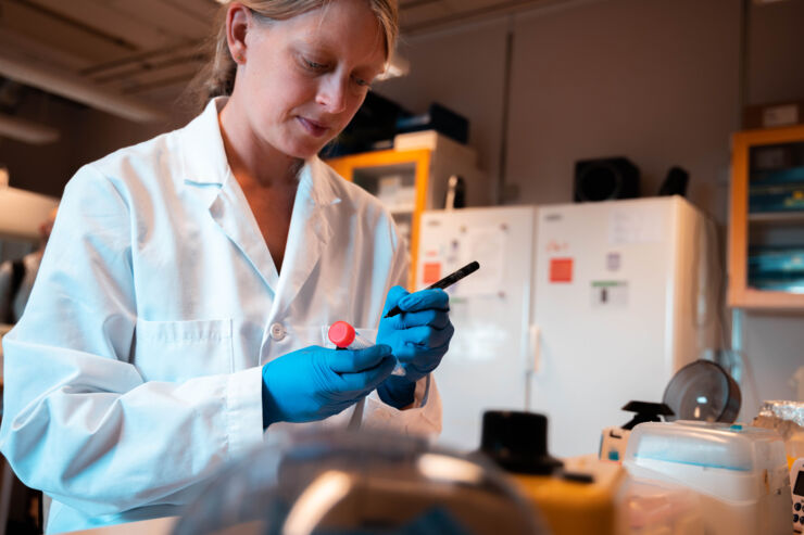 Person writes with a pen on a test tube.