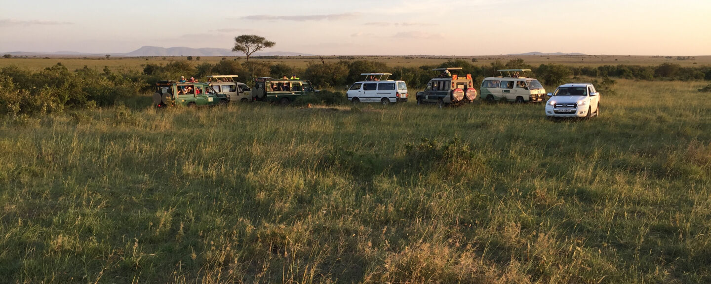 Landskap i Afrika, gräs, himmel och bilar.