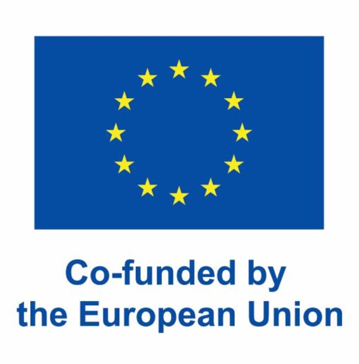 Logotyp EU 