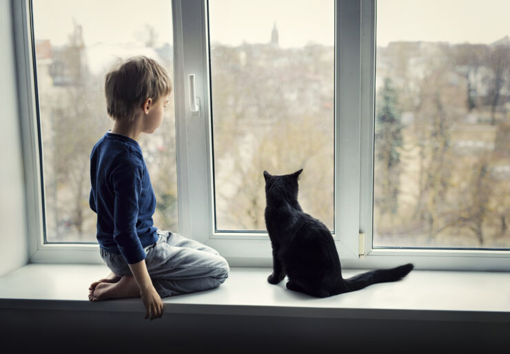 Pojke sitter vid fönster tillsammans med katt