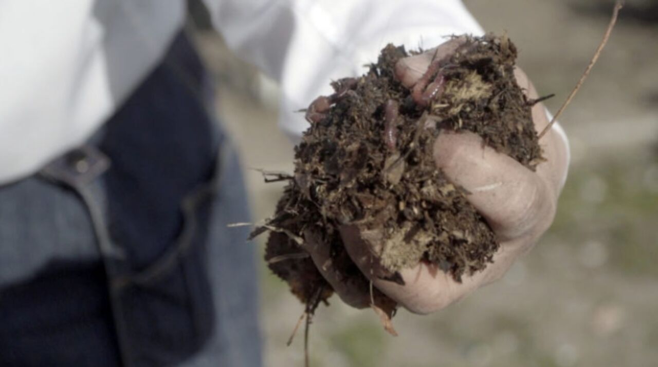 A hand grabbing a lot of dirt.