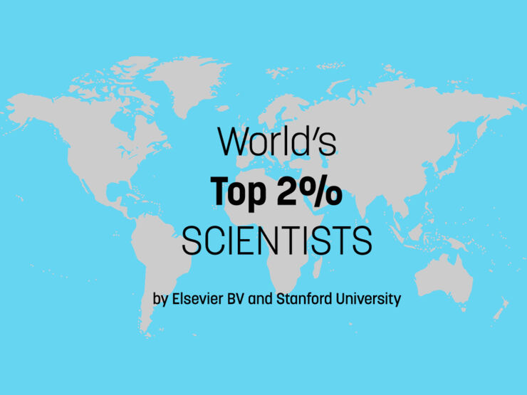 Insect eyes inspire new solar cell design by Stanford researchers