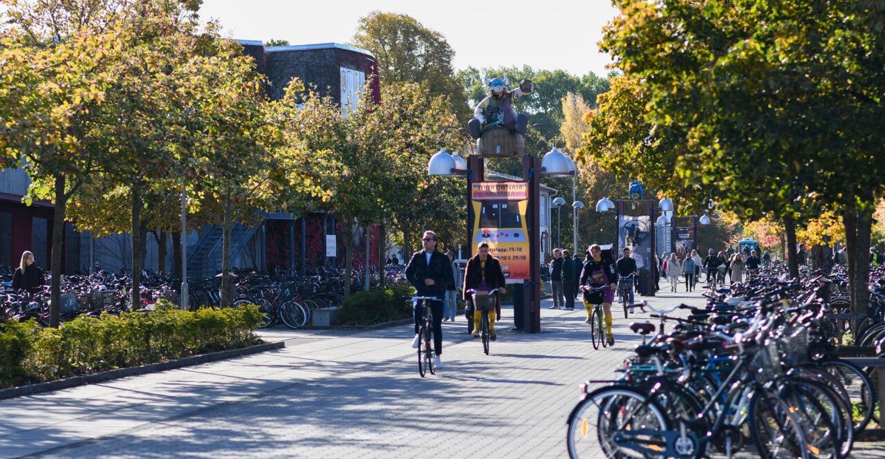 Hösten på Campus Valla och cyklar.