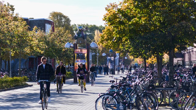 Autumn at the Campus Valla and bikes. 