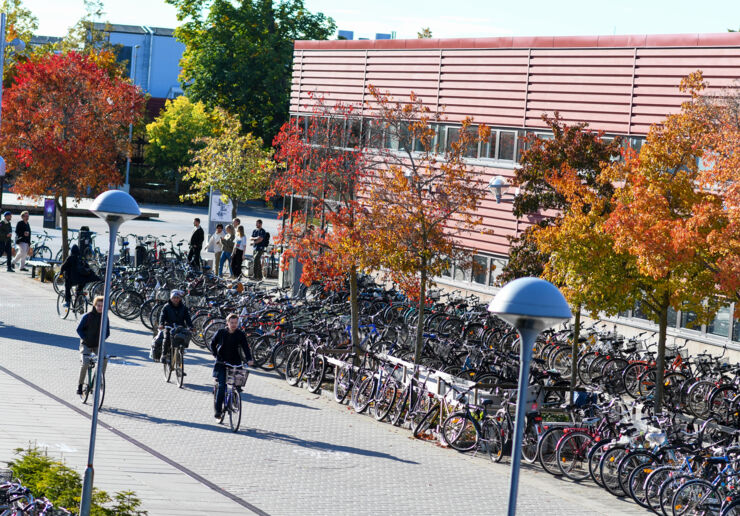 Autumn at the Campus Valla and bikes. 