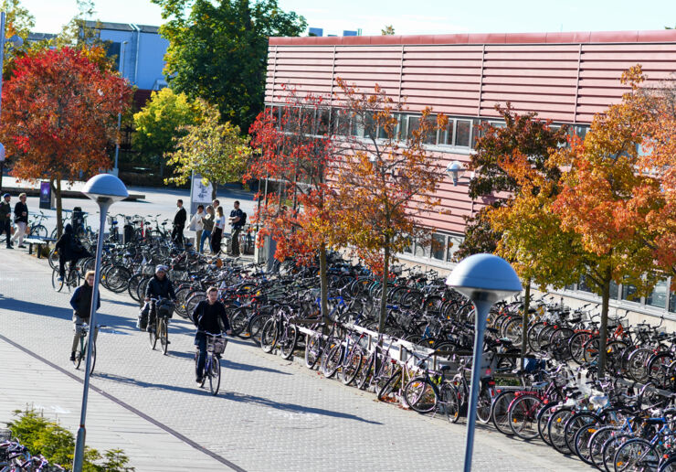 Forskaren: Svensk skola bättre än många tror