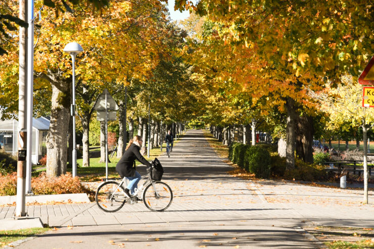 Hösten på Campus Valla och cyklar.