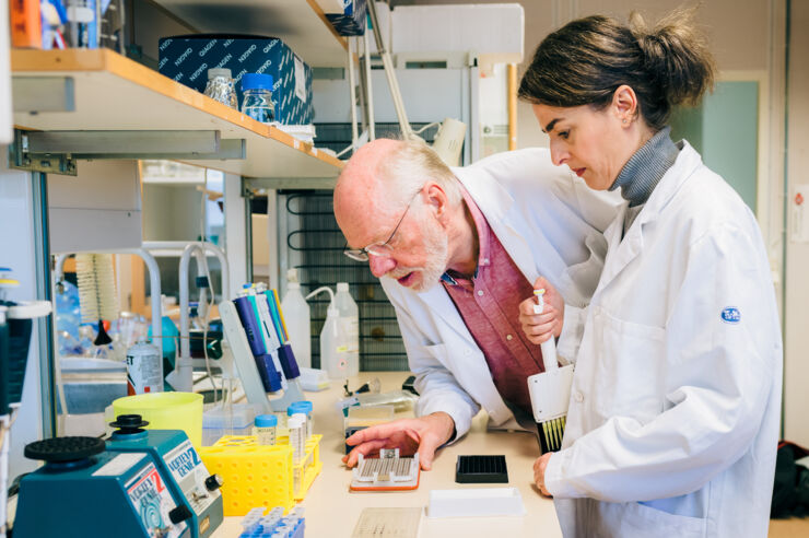 En manlig och en kvinnlig forskare tittar på en platta med provresultat i ett labb.