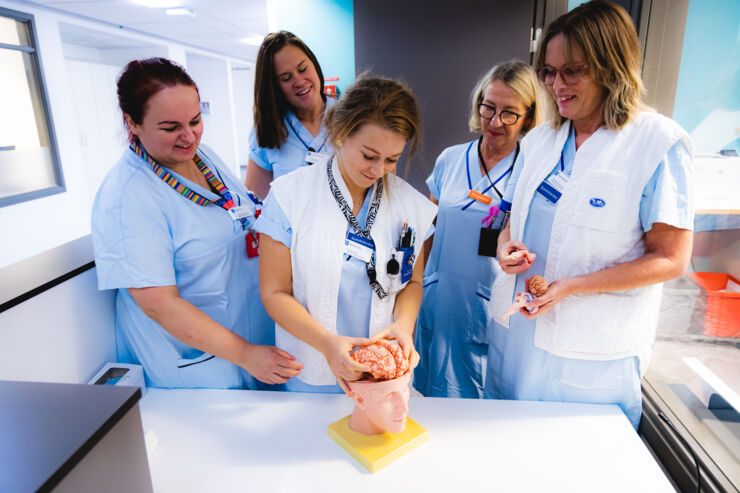 Specialist nurses building a brain puzzle