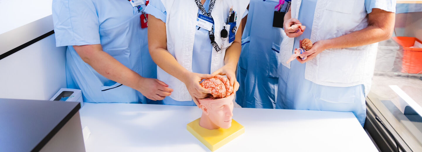 Specialist nurses building a brain puzzle