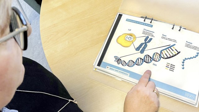 Två personer sitter vid ett bord. Den ena pekar på en bild med information om gener och DNA.