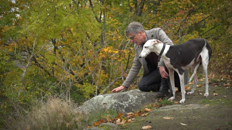 Per Holmberg och hunden Hugo tittar på en runristning i berget, omgivna av skog.