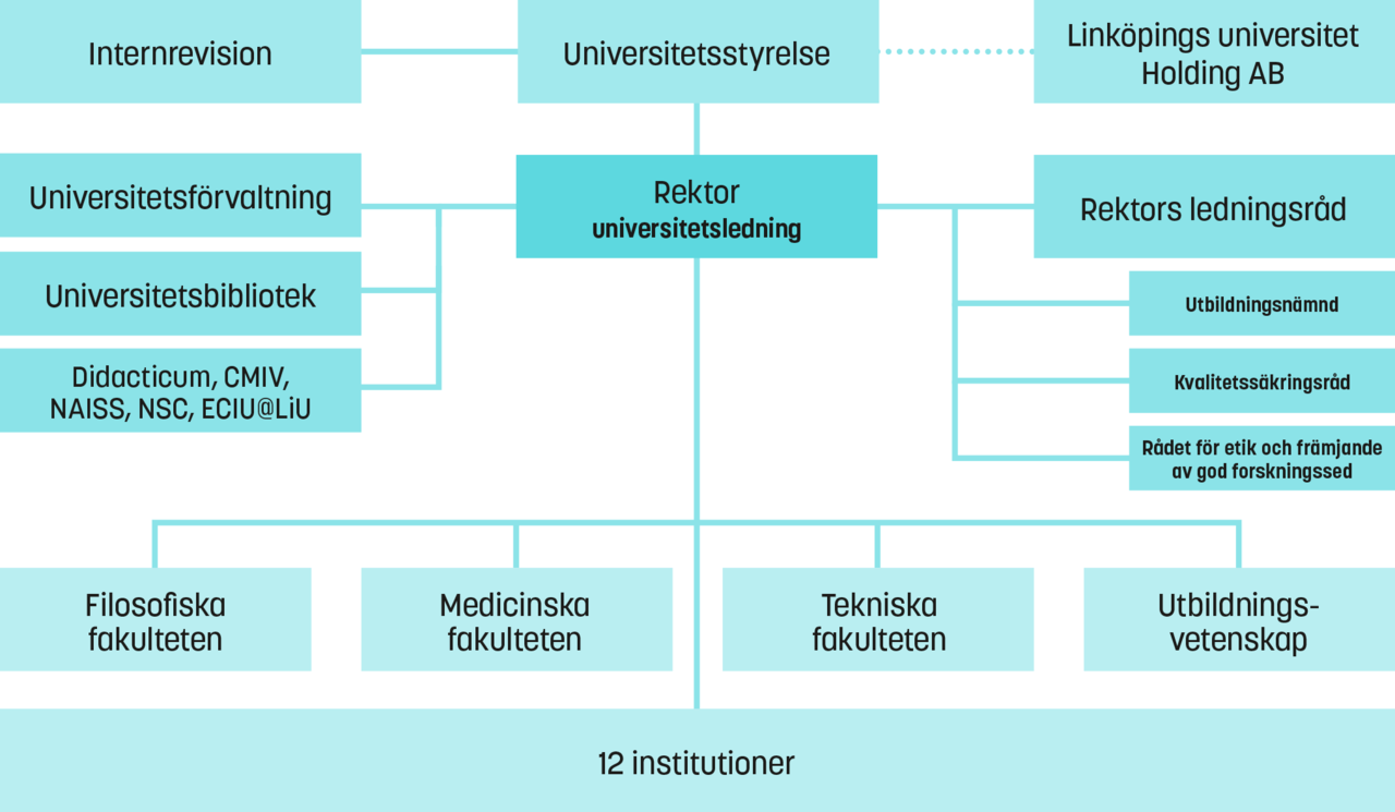 Organisationsschema för Linköpings universitet. Illustration.