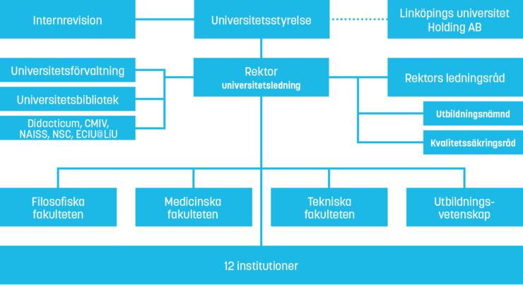 Organisationsschema för Linköpings universitet. Illustration.