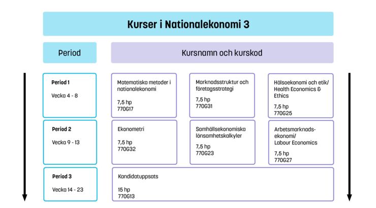 Diagram över kursutbudet.