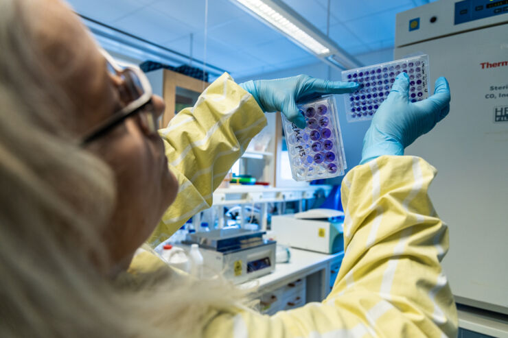 Kvinnlig forskare på lab visar cellodlingsplatta.