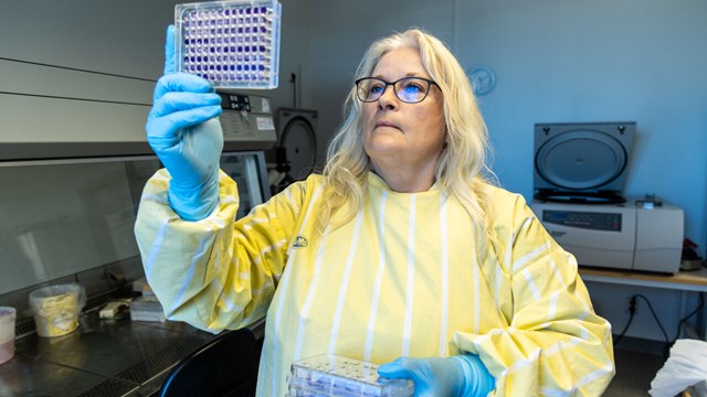 Kvinnlig forskare studerar 96-hålsplatta i labbmiljö.