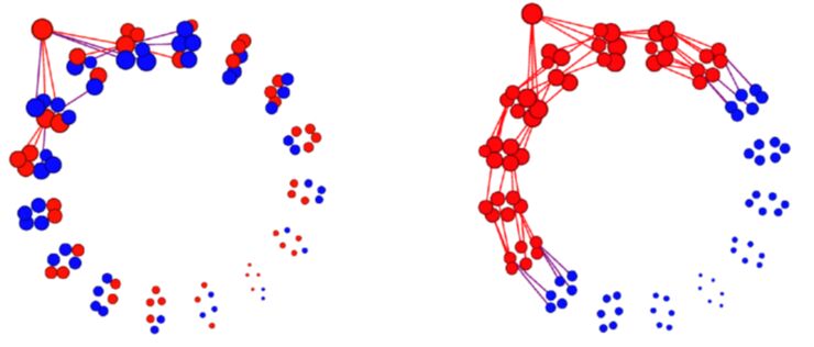 Diffusion of a false conservative-leaning message in an integrated (left) or segregated (right) experimental network.