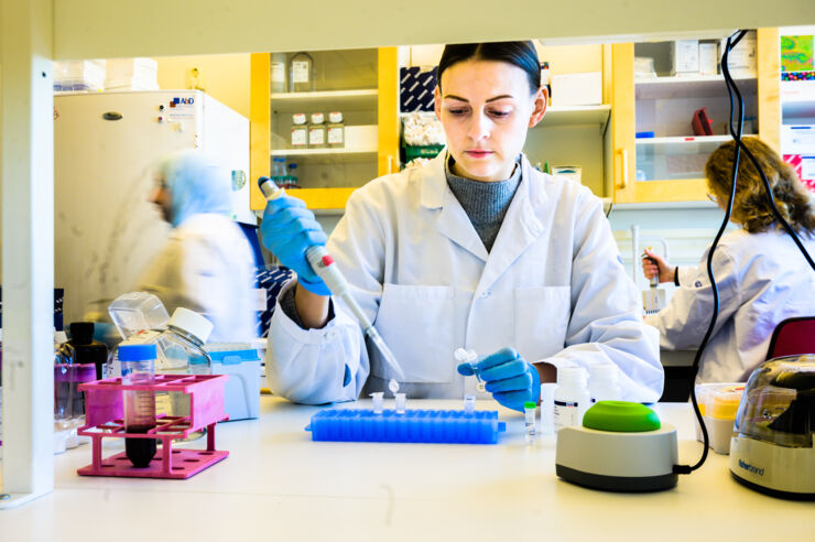 Researchers in laboratory.