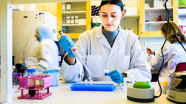 Researchers in laboratory.