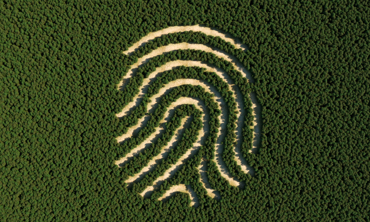 Deforestation in the shape of a human fingerprint