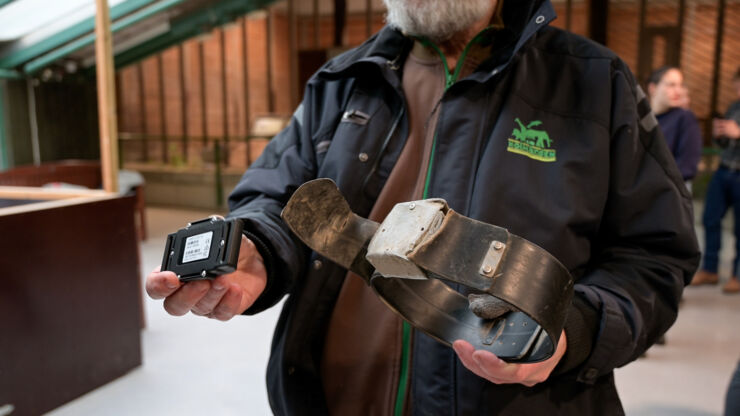 A broken strap holder and a gps-tracker for big mammals.