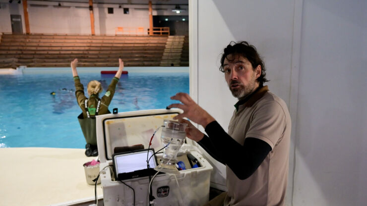A spirometer is used to measure the respiratory functions of the dolphins. It gives the researchers at Kolmården data used to diagnose health issues and how the lungs perform in a dive. - If we understand their physiological capacity, we can understand better how climate changes will affect their capability to find food, says Andreas Fahlman.