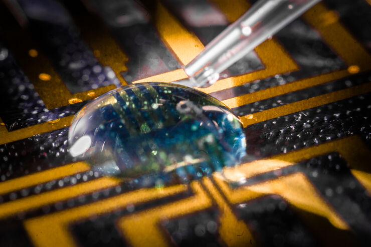 Blue droplet on electronic circuit.