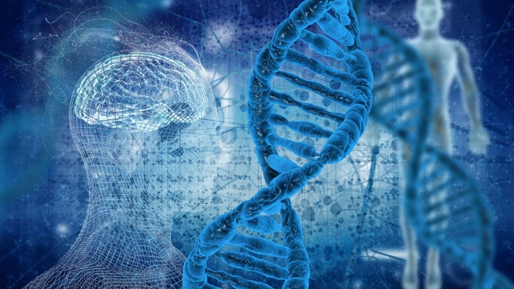 Bild som visar DNA-stegen, en hjärna och en människa.