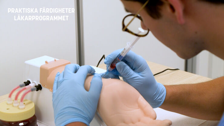 Student tränar på att ta ett blodprov på en konstgjord arm