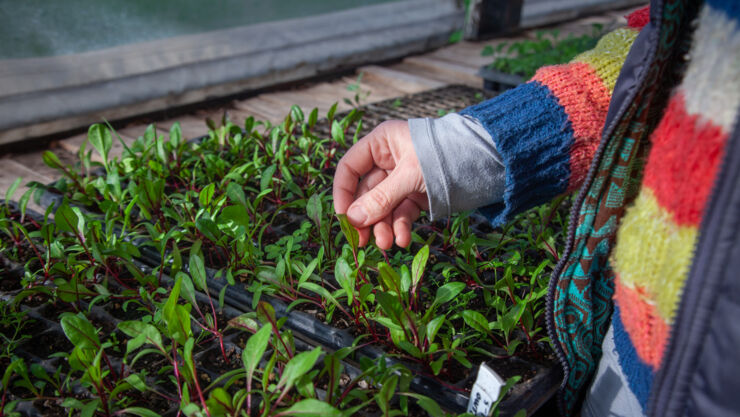 The hand of a person in front of agroecological farming.