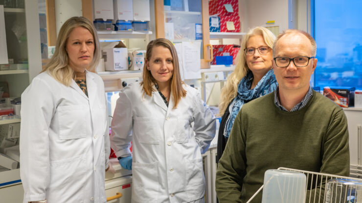 Researchers in lab environment.