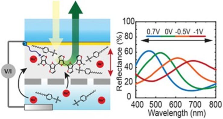 Figure 1. (top left) Dr. Akchheta Karki and Prof. Magnus Jonsson discussing their electrically tuneable plasmonic conducting polymer nanodisk antennas.2 (top right) Structural colour image made by UV-patterning of a conducting polymer on a metal mirror.3 (bottom) Schematic and tuneable reflectance data for a dynamically tuneable optical cavity having a conducting polymer as spacer layer.4 Photos: Thor Balkhed, LiU.