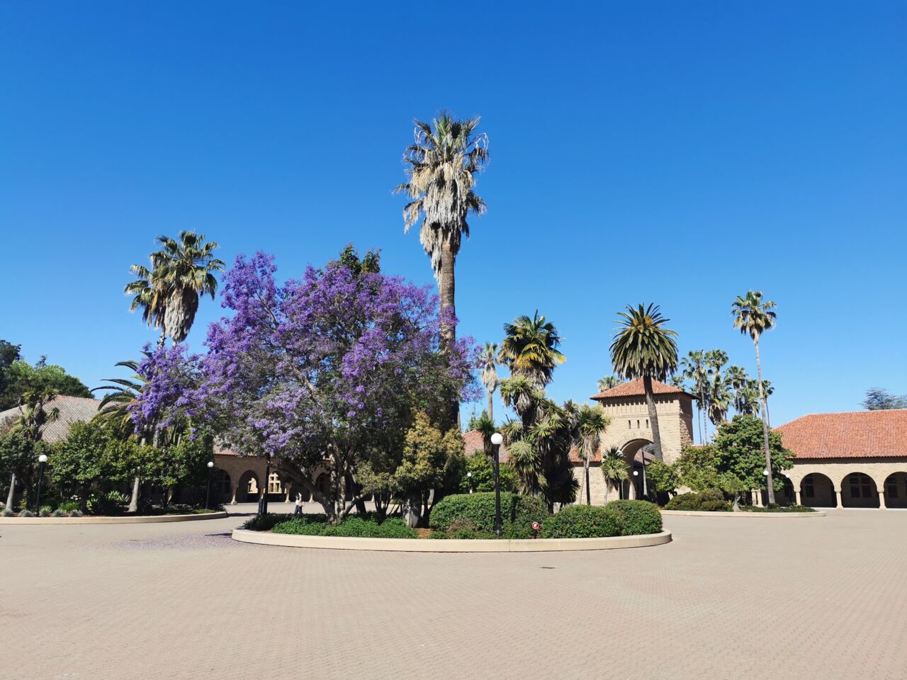Photo of campus at Stanford University.