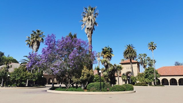 Photo of campus at Stanford University.