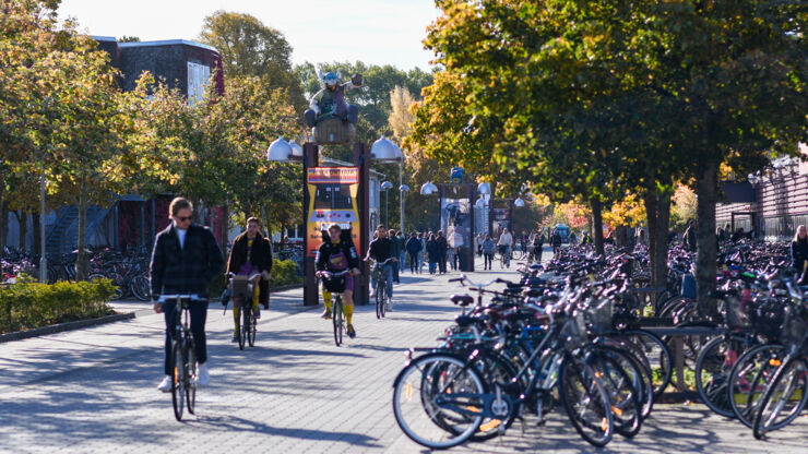 Hösten på Campus Valla och cyklar.