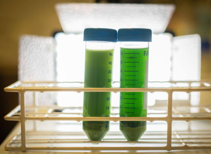 Two test tubes with different layers of green liquid.