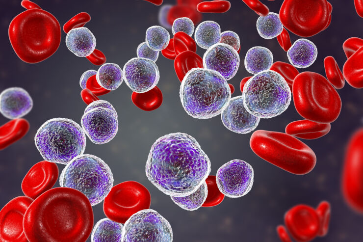 illustration of cancer cells and red blood cells in blood vessel.