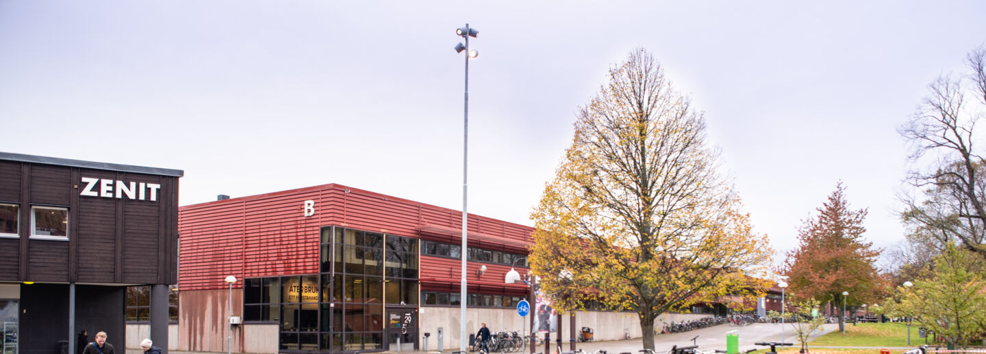 Campus Valla autumn.