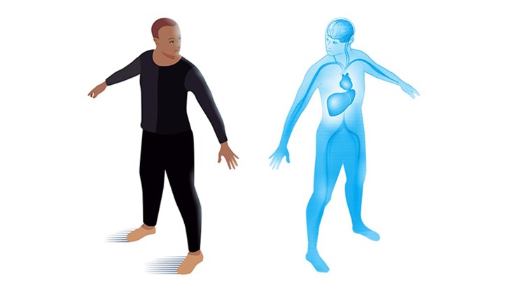 Illustration of a person holding arms out, and a mirrored version showing internal organs.