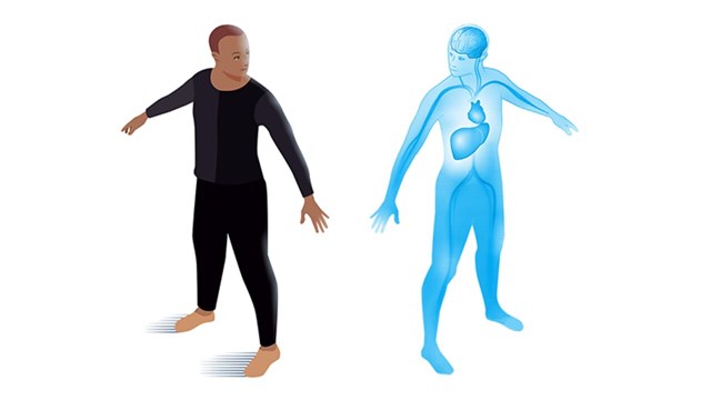 Illustration av människa med armarna utåt, och en spegling av illustrationen där inre organ syns.