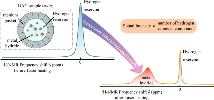 A schematic figure of hydrogen-quantification