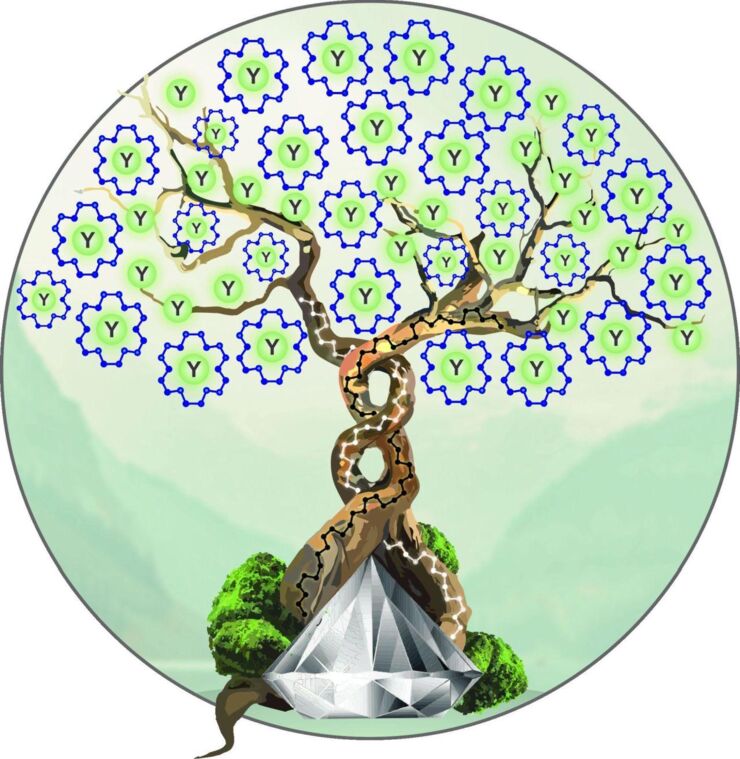 Schematics of Revealing Phosphorus Nitrides up to the Megabar Regime: Synthesis of α′‐P3N5, δ‐P3N5 and PN2.