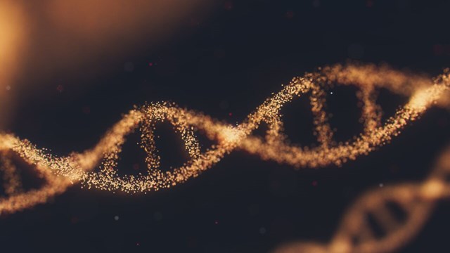 Illustration av DNA