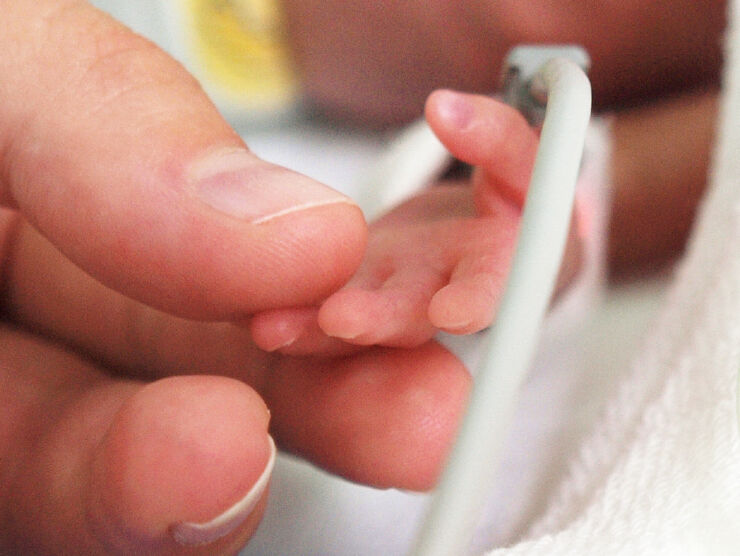 An adult's hand holds the hand of a premature baby.