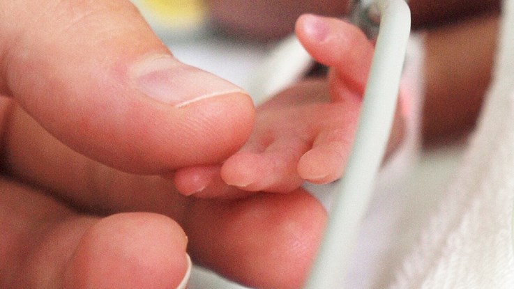 An adult's hand holds the hand of a premature baby.