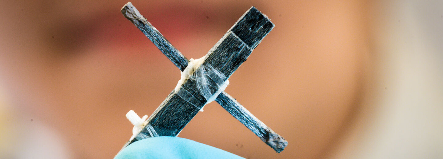 Wood transistor in close-up