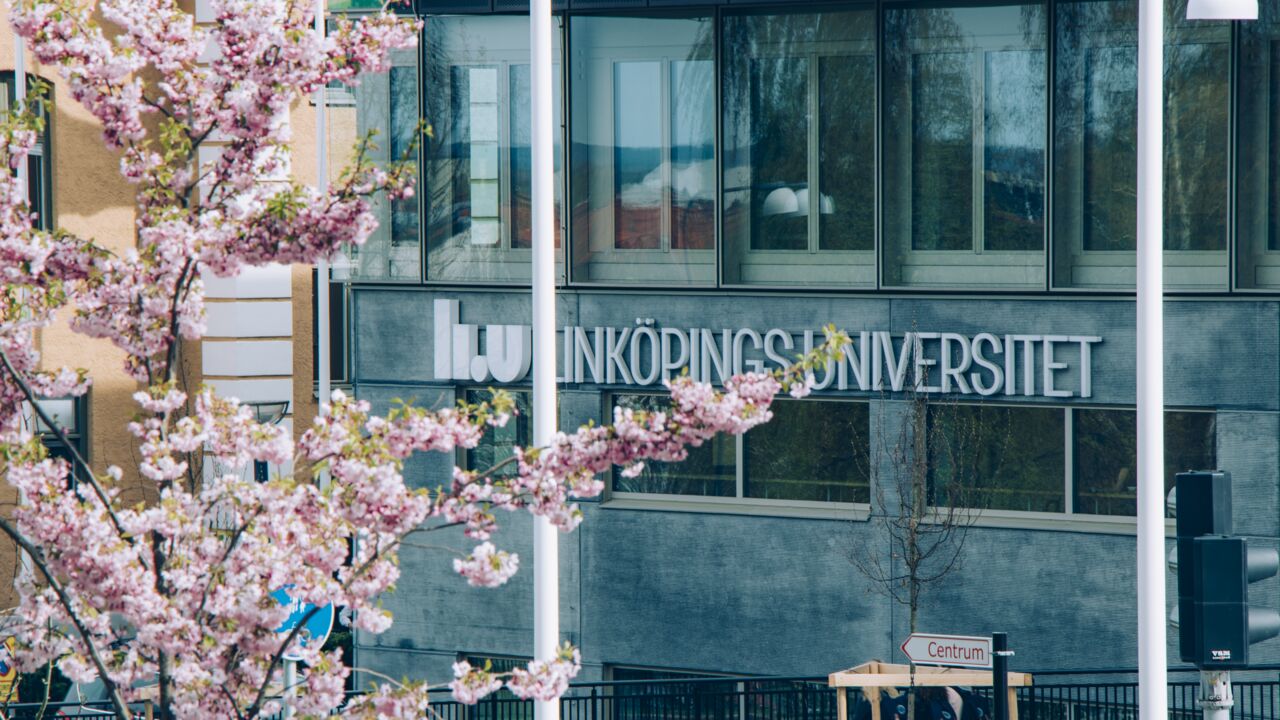 Campus US with cherry blossom in the foreground.